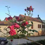 Casa Ivan Tihaljina