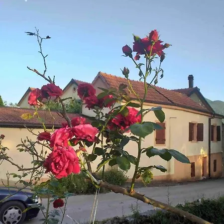 Casa Ivan Tihaljina